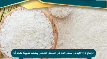 ارتفاع 15% اليوم.. سعر الأرز في السوق المحلي يشهد تغييرًا ملحوظًا